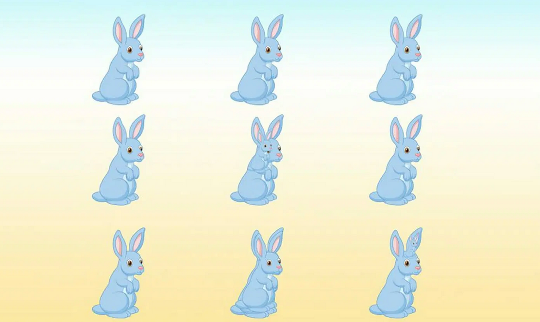 Сколько здесь кроликов на картинке. Сколько зайчиков на картинке. Найти кролика на картинке. Сколько кроликов на картинке правильный ответ.